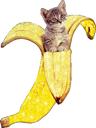 Gattobanana.gif by Kamilia Kard